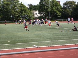 Cougars schwitzen im Mini-Camp