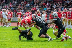 Tickets 2022: Cougars starten Vorverkauf